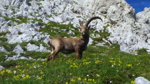 20160713_dsc_0279_10